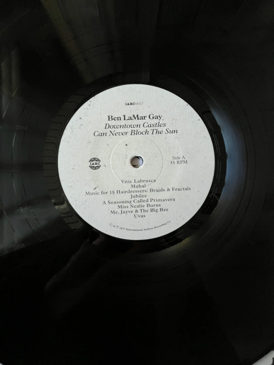 Ben Lamar Gay - Downtown Castles Can Never Block The Sun (IA11 Edition) (LP) - Image 5