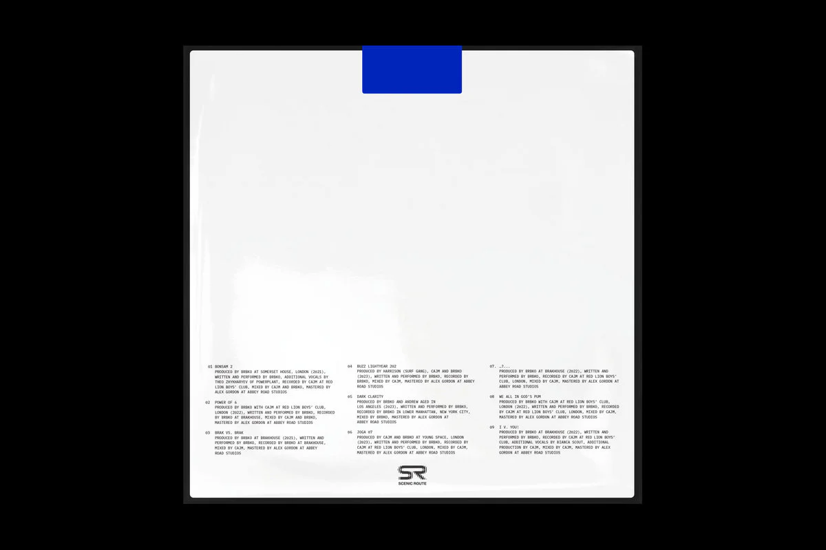 Brbko - BRAK VS. BRAK ...?... (LP) - Image 3