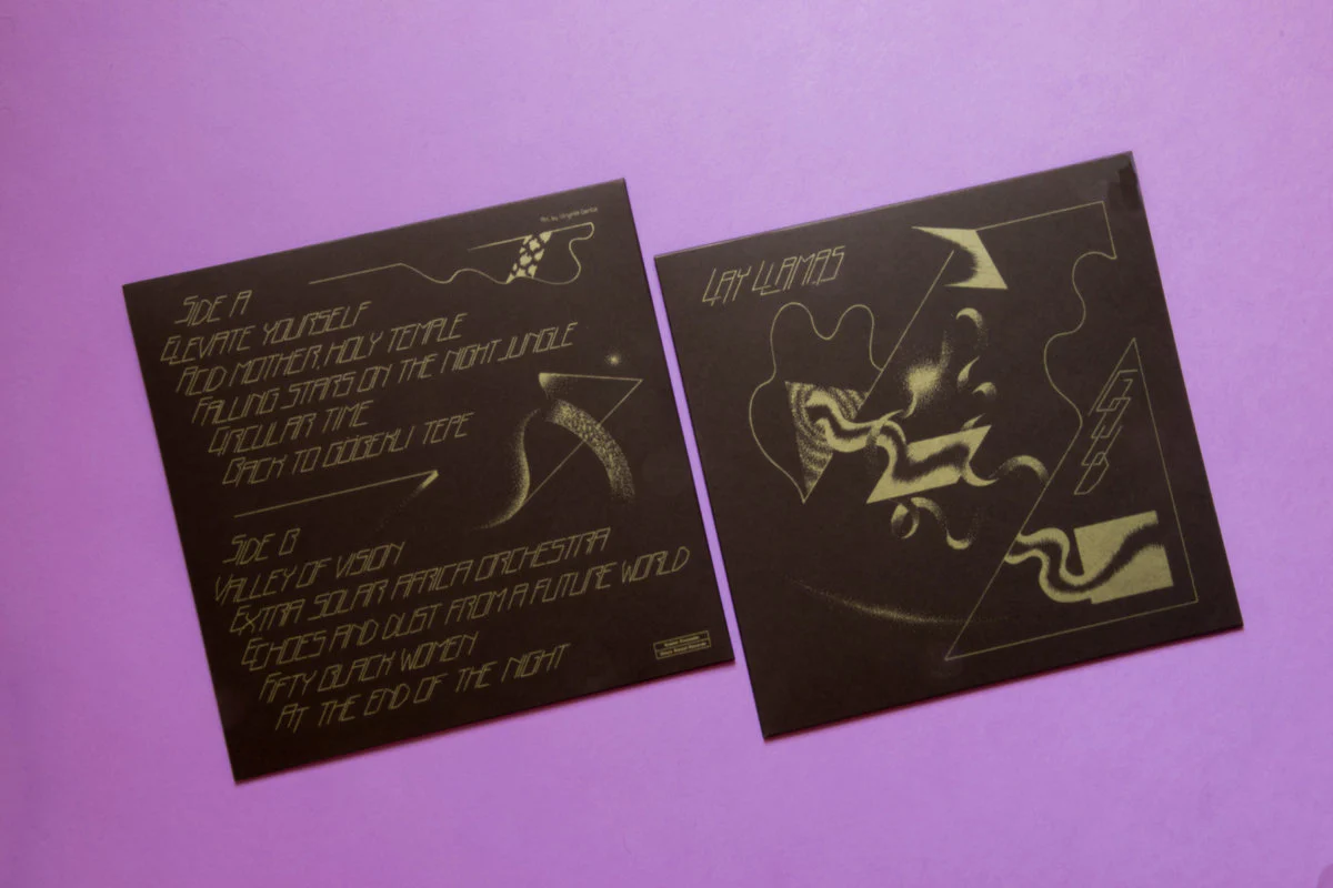 The Lay Llamas - Goud (LP) - Image 3