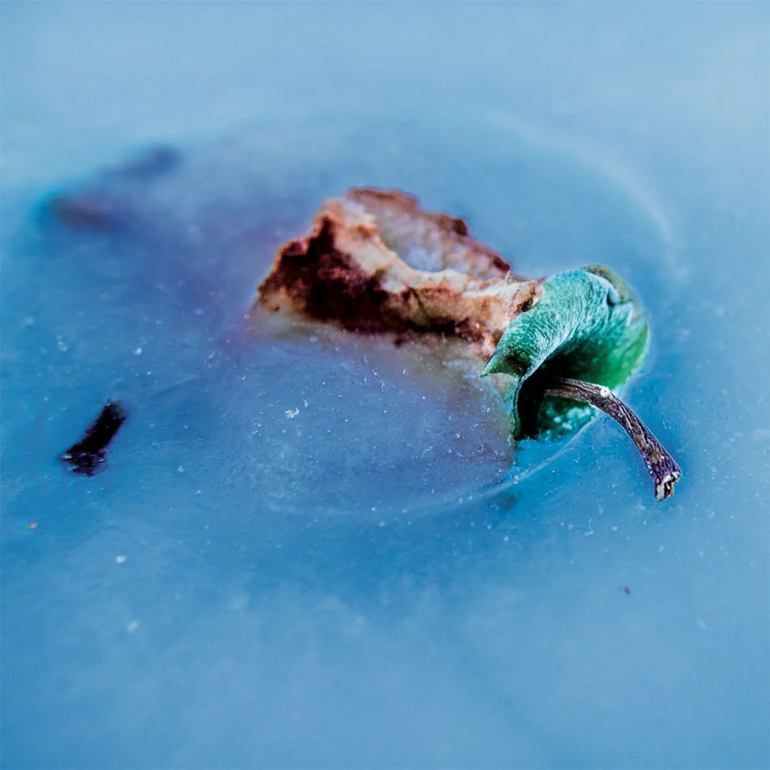 Electronic / Experimental