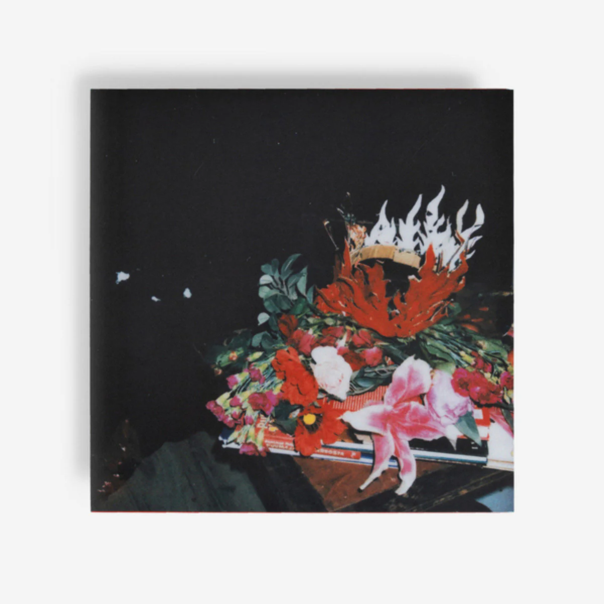 VÍZ - Danse des Larmes (LP) - Image 4